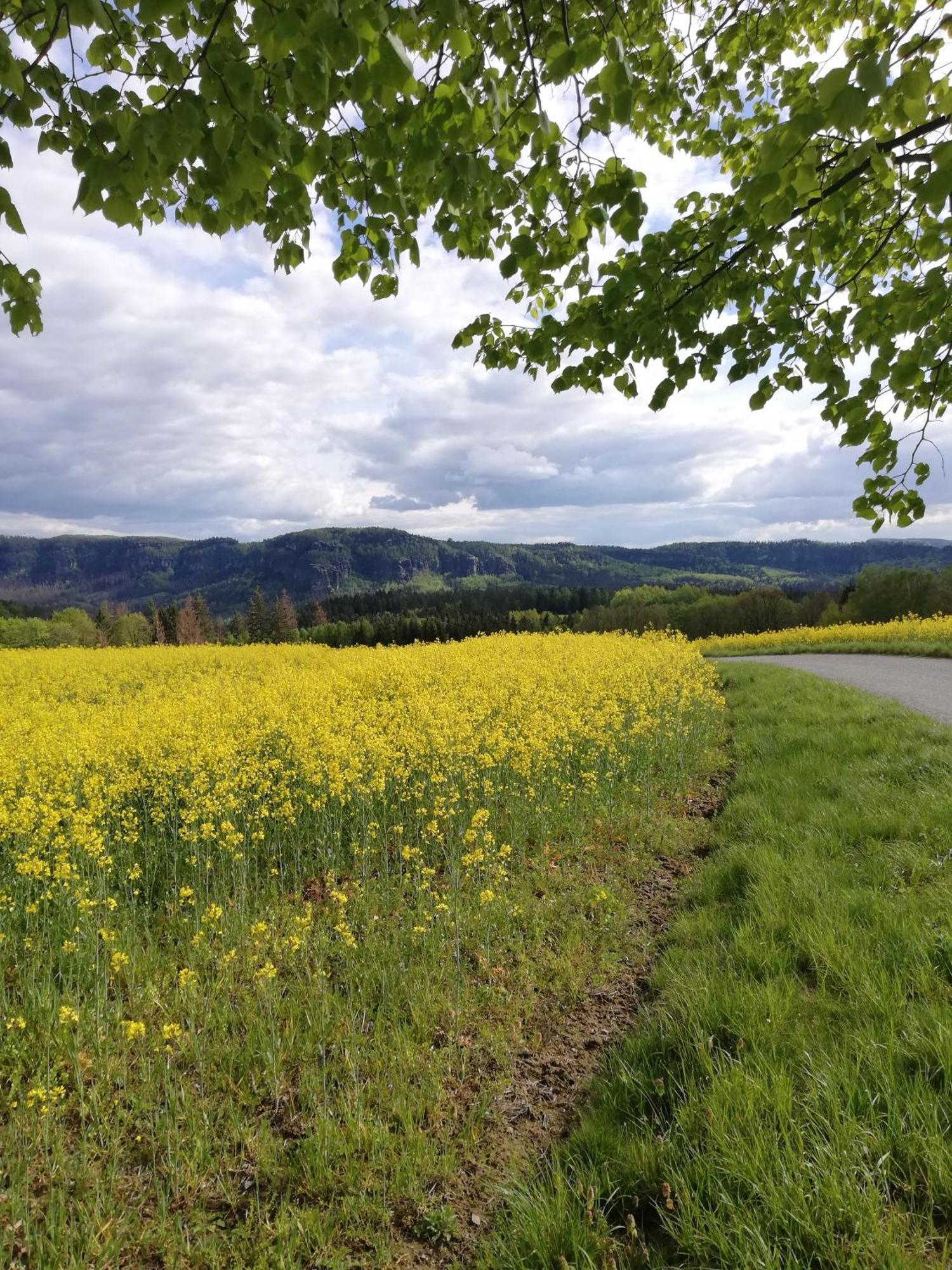 Lichtenhainer Hof Lichtenhain  Bagian luar foto