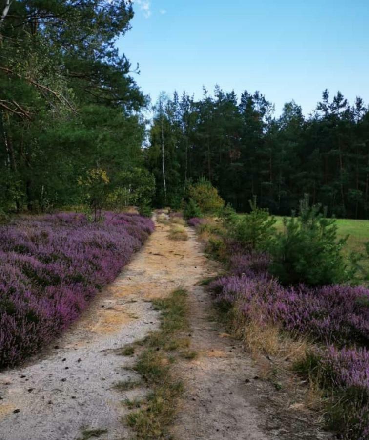 Lichtenhainer Hof Lichtenhain  Bagian luar foto